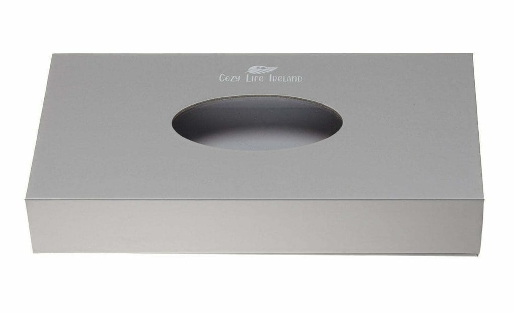 Empty Glove Box Crop