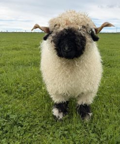 Handmade Wool Felt Valais Blacknose Sheep Ornament - Image 5
